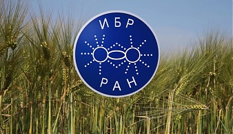 Юбилейная конференция «Генетика и индивидуальное развитие»