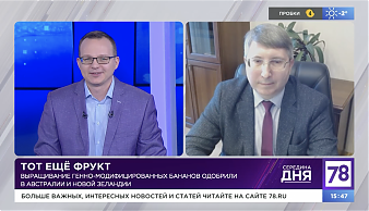Виктор Евгеньевич Цыганов, рассказал об опасности новой расы фузариозного гриба TP-4 для наиболее распространенного сорта банана Кавендиш