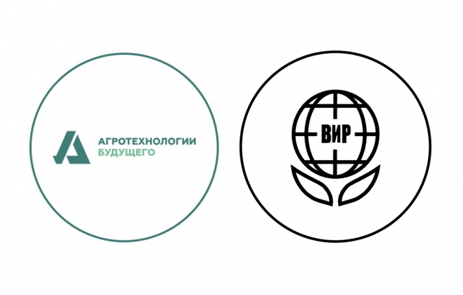 Вавиловская школа молодых ученых «Генетические ресурсы растений: сохранение и использование в селекции в целях продовольственной безопасности Российской Федерации»